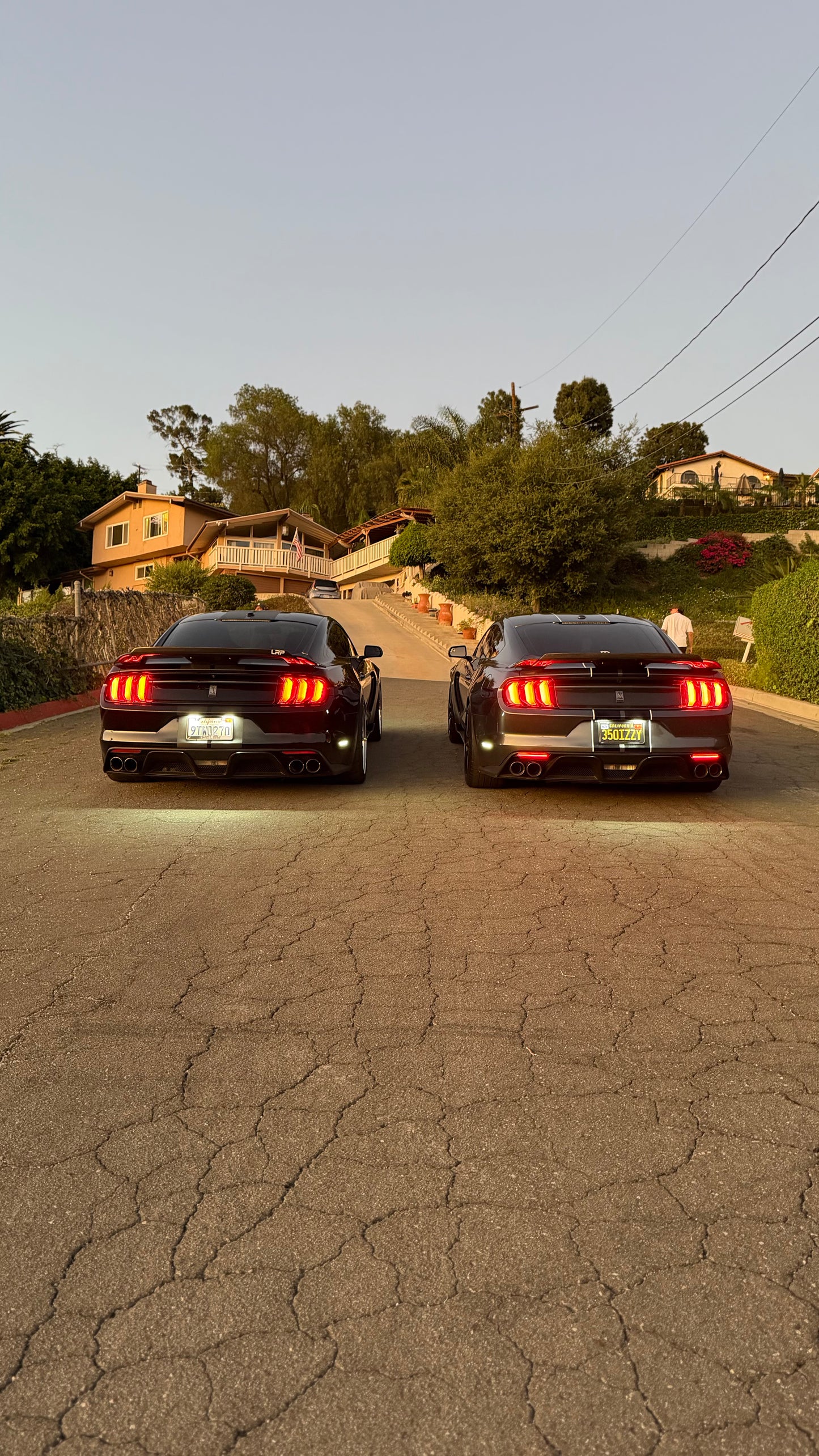 Ford Mustang GT350 GT500 LED Rear Reflector clear lens, Los Reyes Performance