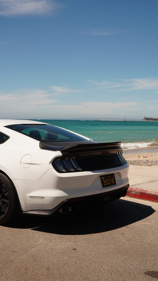 Mustang GT/GT350/GT500 Ducktail V2 carbon fiber trunk rear view, Los Reyes Performance