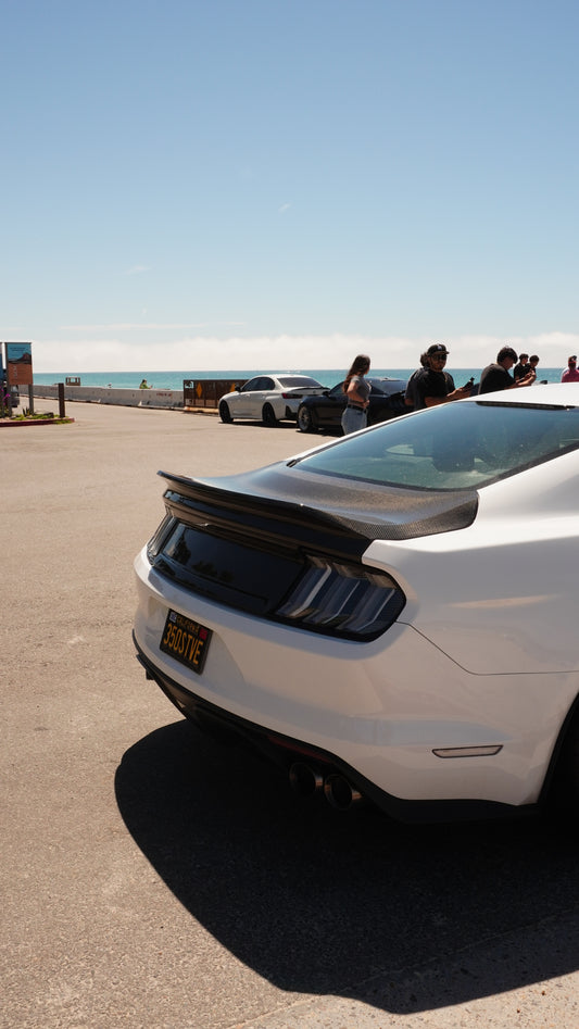 Mustang GT/GT350/GT500 Ducktail V2 carbon fiber trunk, Los Reyes Performance