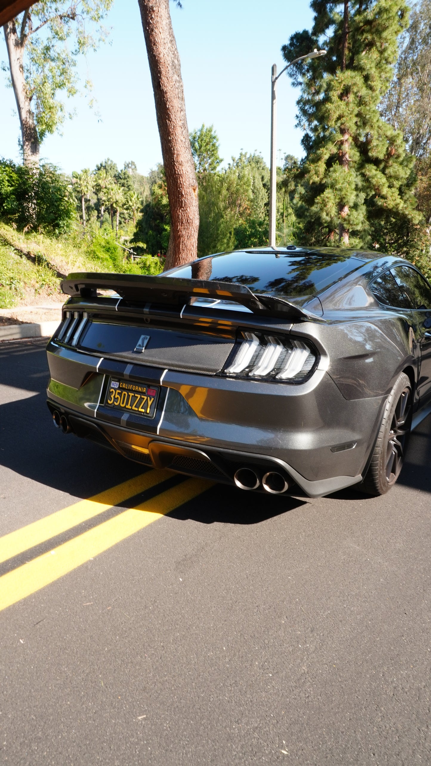 Ford Mustang S550 Carbon Fiber Decklid, Los Reyes Performance