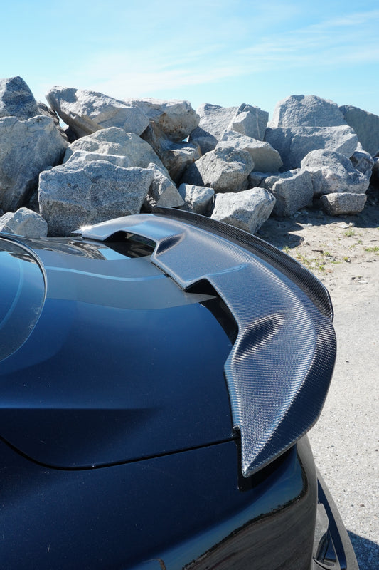 GT500 Style Carbon Fiber Wing With Lip| Ford Mustang GT/GT350/GT500 Los Reyes Performance