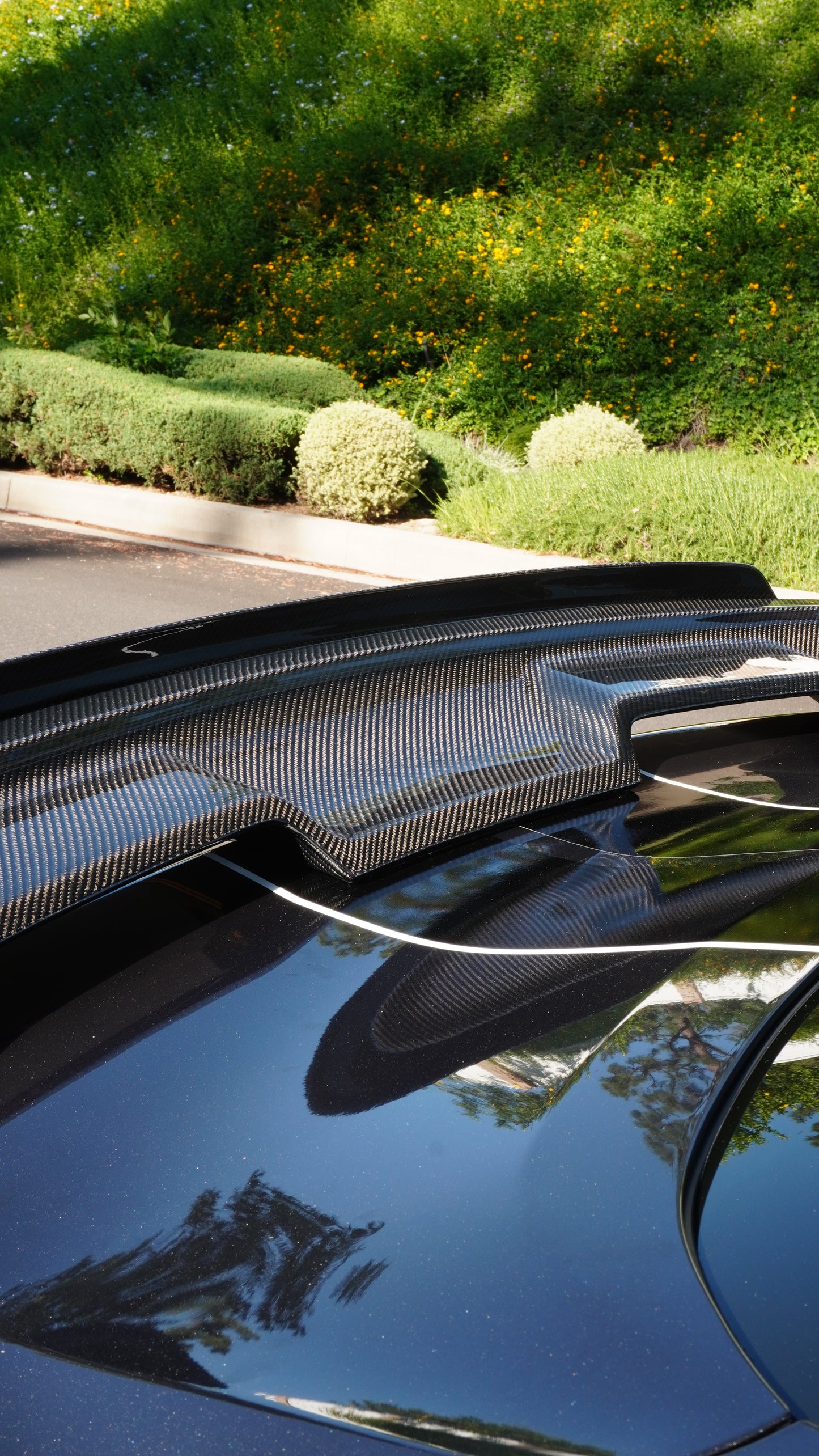 LRP GT500 Style Carbon Fiber Wing Ford Mustang GT/GT350/GT500 Los Reyes Performance