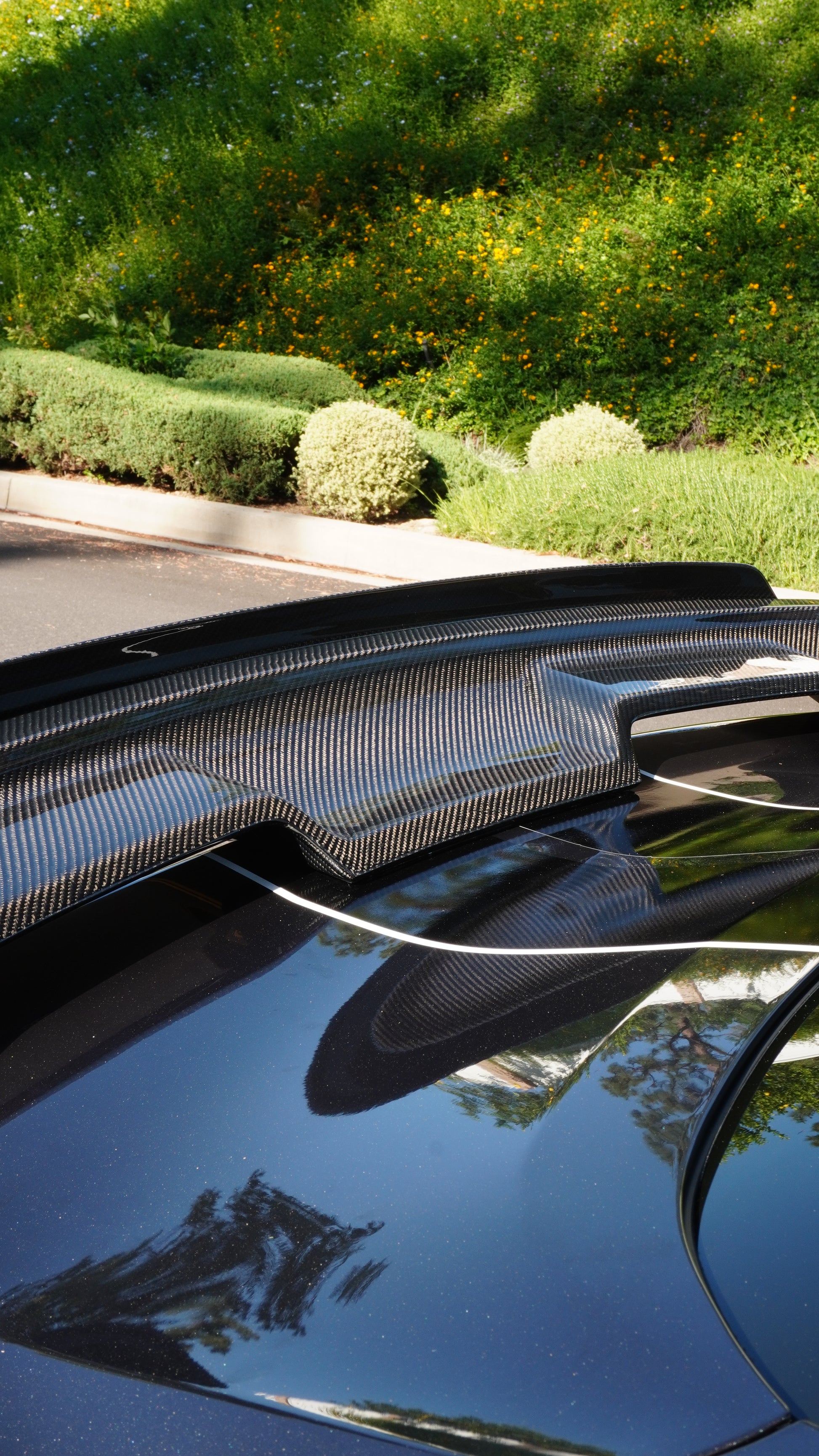 LRP GT500 Style Carbon Fiber Wing Ford Mustang GT/GT350/GT500 Los Reyes Performance