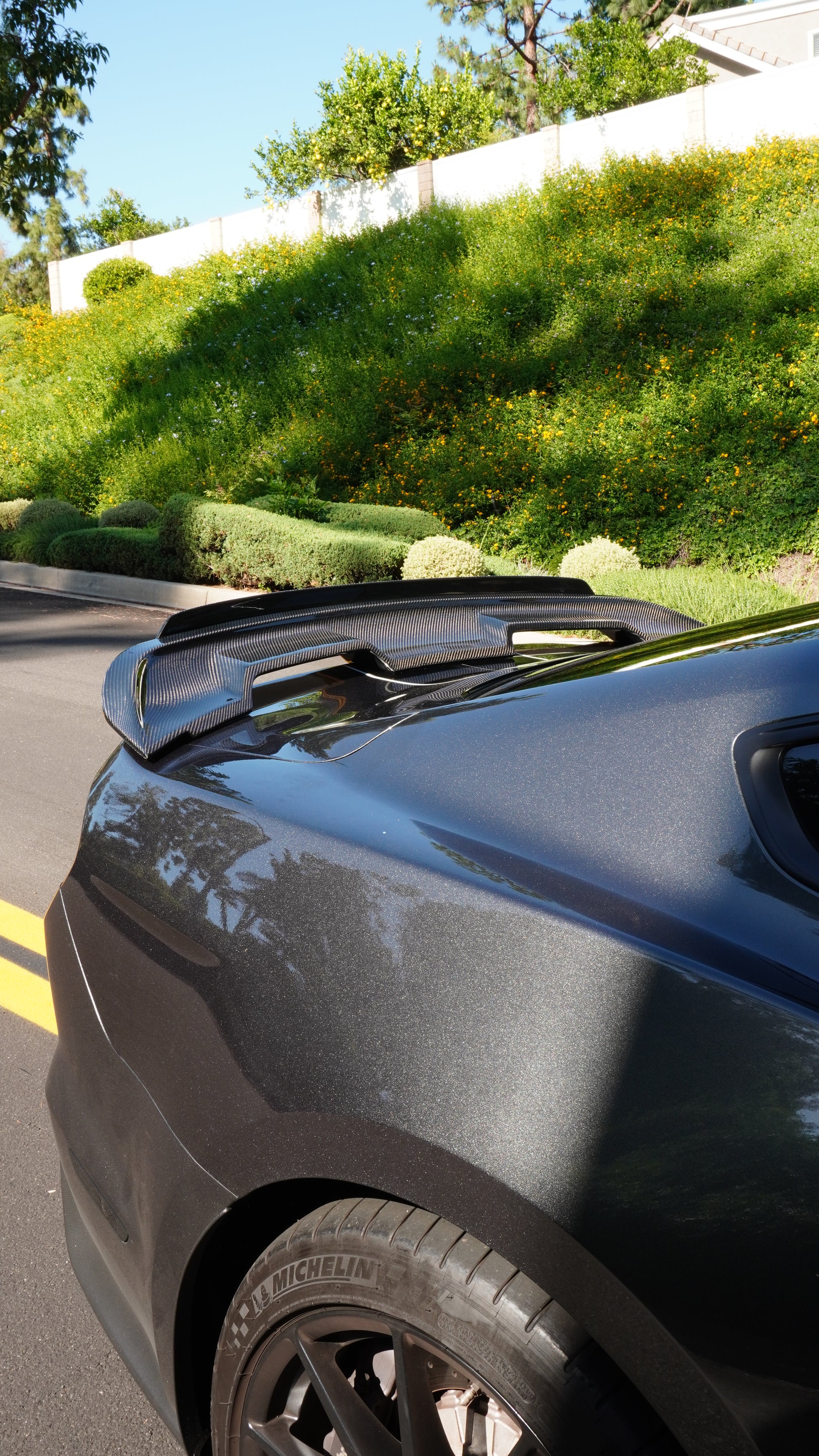 LRP GT500 Style Carbon Fiber Wing Ford Mustang GT/GT350/GT500 Los Reyes Performance