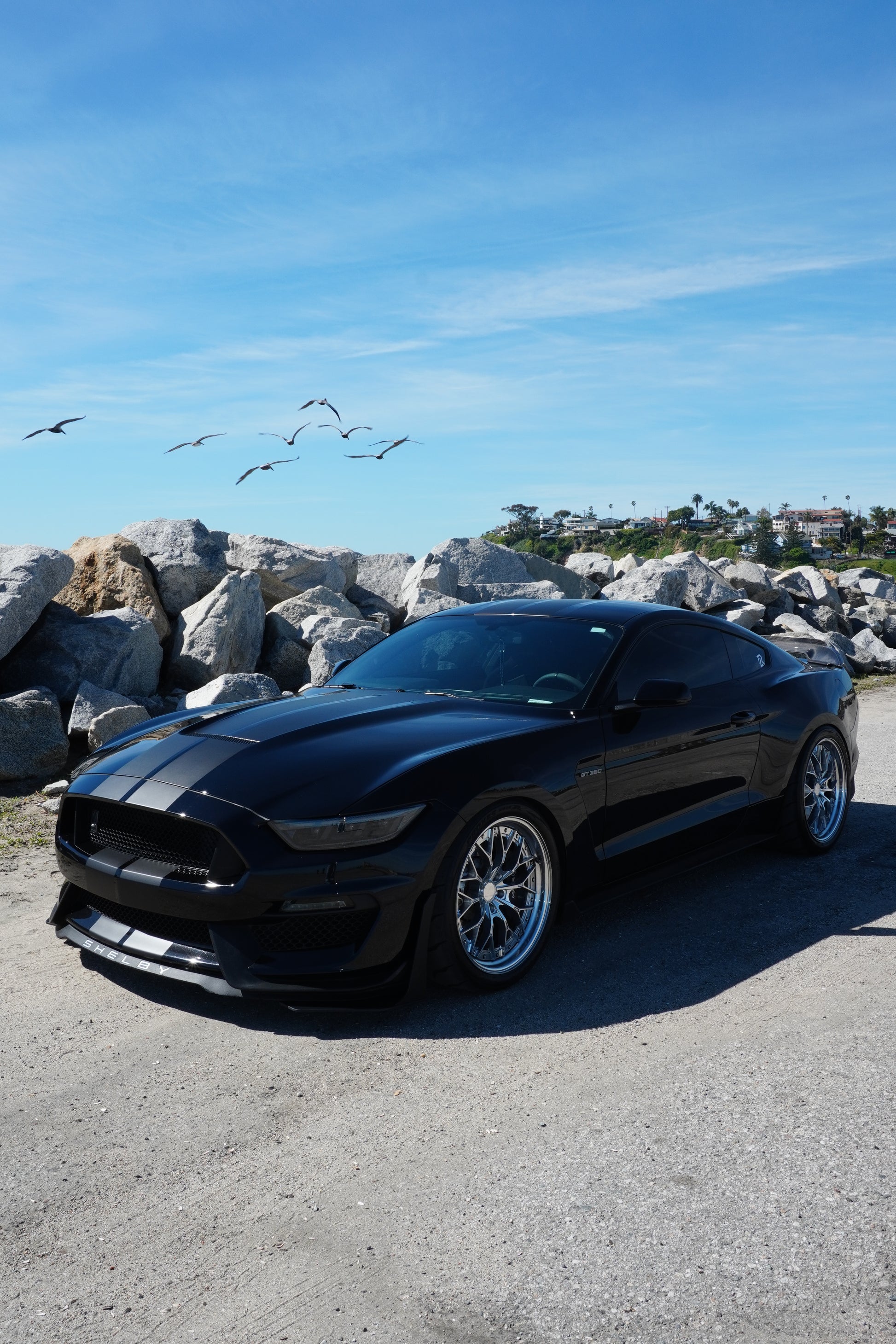 ER01 | LR Forged Two-Piece Forged Wheel LR Forged