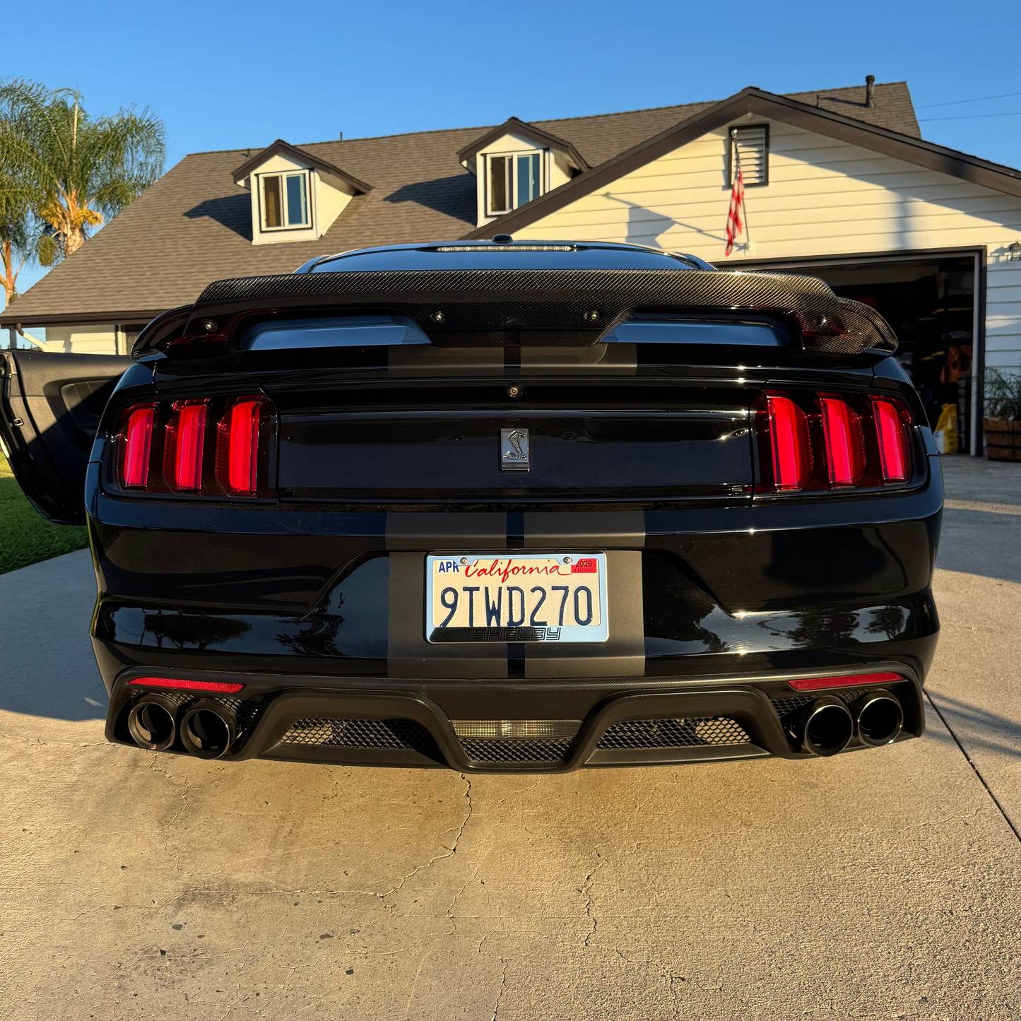 GT500 Style Carbon Fiber  Wing | Ford Mustang GT/GT350/GT500